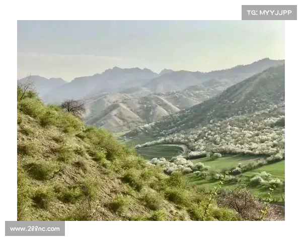 详细图文教学手把手教你从零开始进入以朱雀天境探索完整攻略